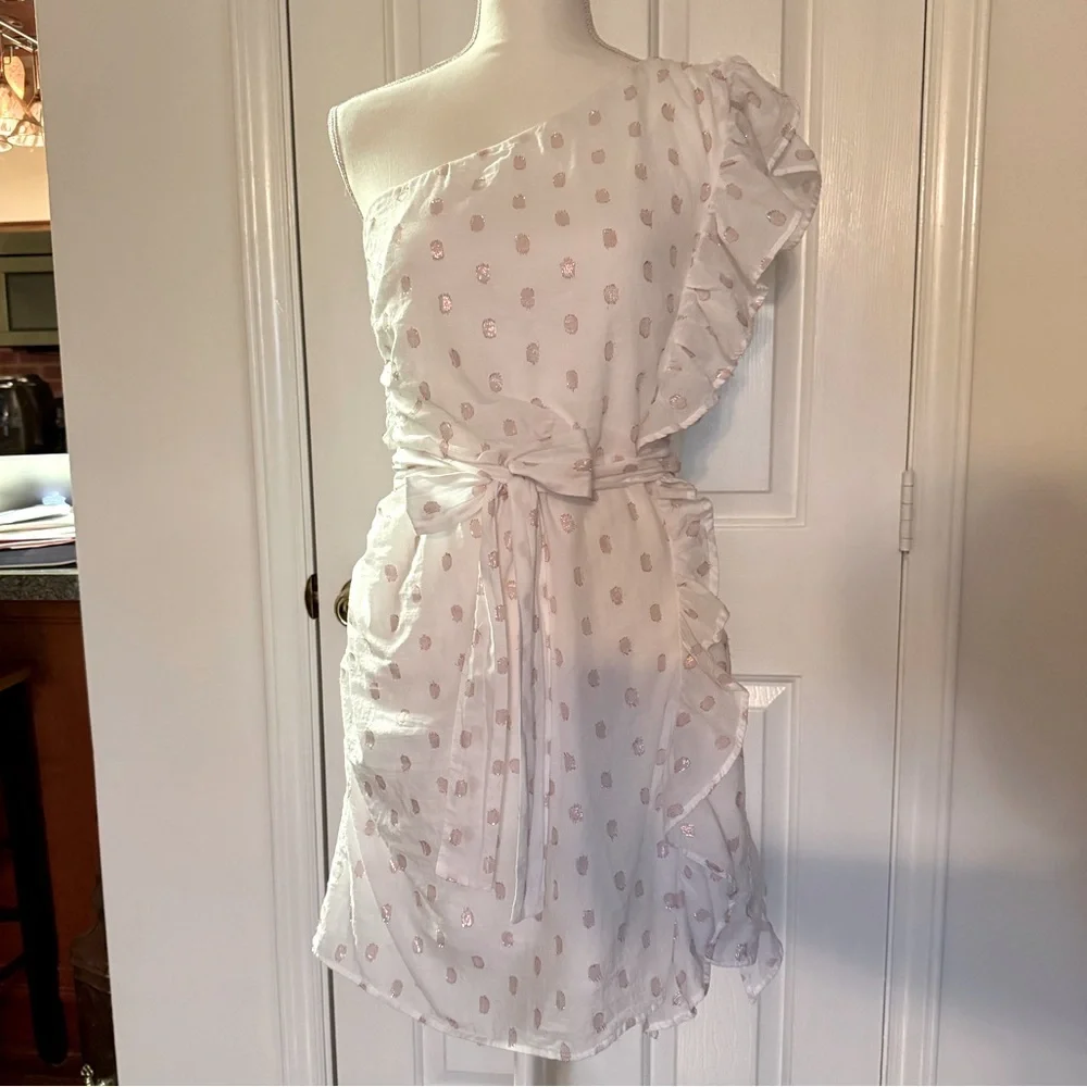 “LOVERS + FRIENDS” X Revolve Whitney Rose Dress - Picture 6 of 16